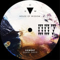 Savio,daniel - 417 - Vinyl Record