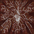 Crown Shyness Music CD
