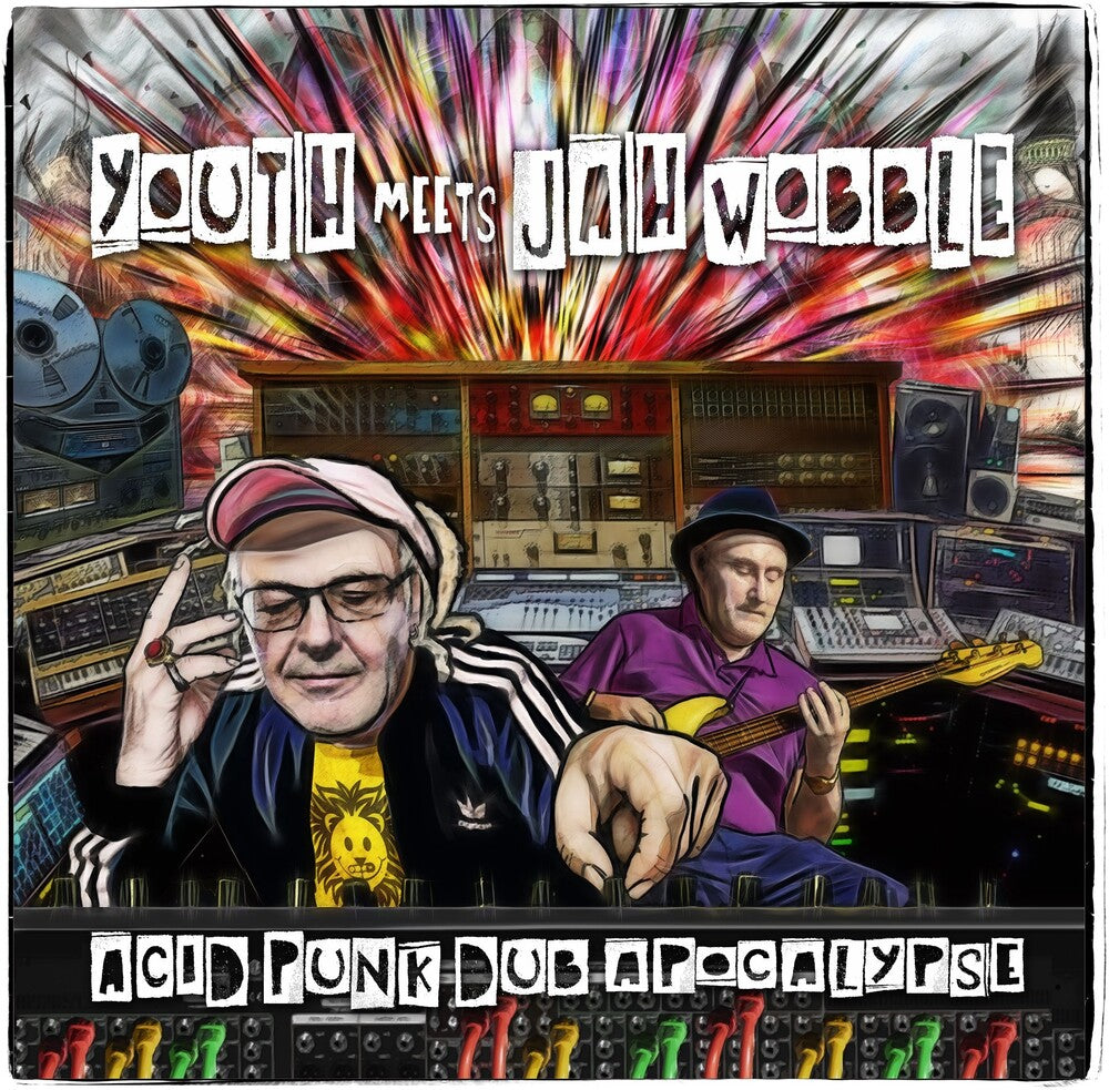 Acid Punk Dub Apocalypse [LP] Vinyl Record