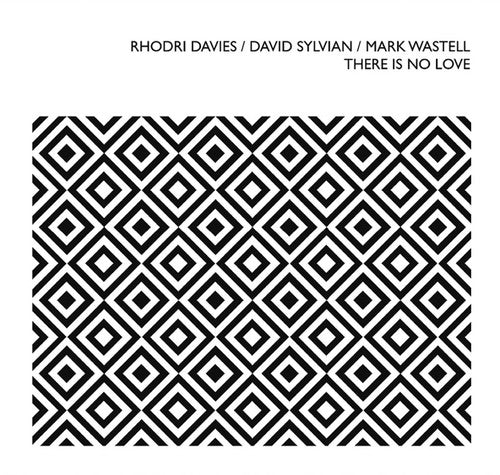 Davies,rhodri / Sylvian,david / Wastell,mark - There Is No Love - Music CD