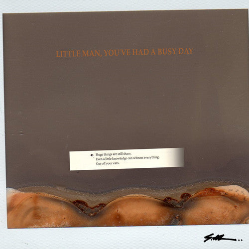 S.al - Little Man You've Had A Busy Day - Vinyl Record