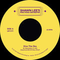 Lee,shawn - Kiss The Sky - Vinyl Record