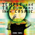 Cosmic Temple - Temple & Tree Means Like A Cosmic - Music CD