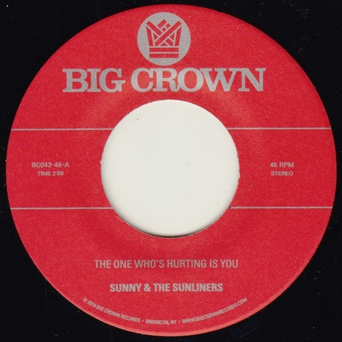 The One Who's Hurting You Is / Should I Take You Home [7" Vinyl] Vinyl Record