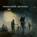 Cohen,avishai - Big Vicious - Music CD