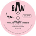 Ebbs,liam - Child's Guide To Groove - Vinyl Record