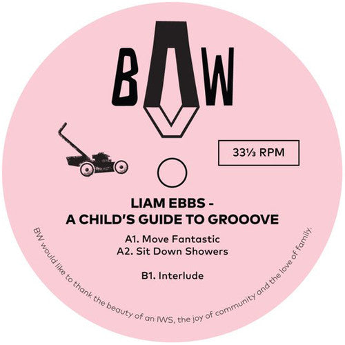 Ebbs,liam - Child's Guide To Groove - Vinyl Record