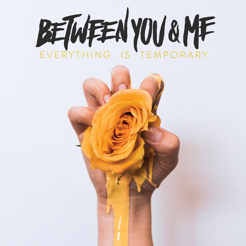 Between You & Me - Everything Is Temporary - Vinyl Record