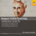 Furstenthal / Rossetti Ensemble - Chamber Music 2 - Music CD