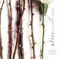 Haas,david - Alive In Christ Jesus - Music CD