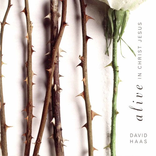 Haas,david - Alive In Christ Jesus - Music CD