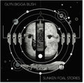 Bush,glyn Bigga - Sunken Foal Stories - Vinyl Record