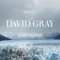 Gray,david - Life In Slow Motion - Music CD
