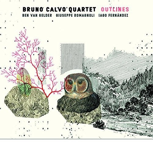 Calvo,bruno Quartet - Outlines - Music CD