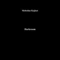Kajkut,slobodan - Darkroom - Vinyl Record