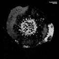 Lonely Grave - Craterface - Music CD