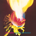 Adorable - Against Perfection - Vinyl Record