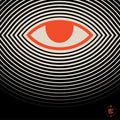Simple Symmetry - Beginner's Guide To Magic - Vinyl Record