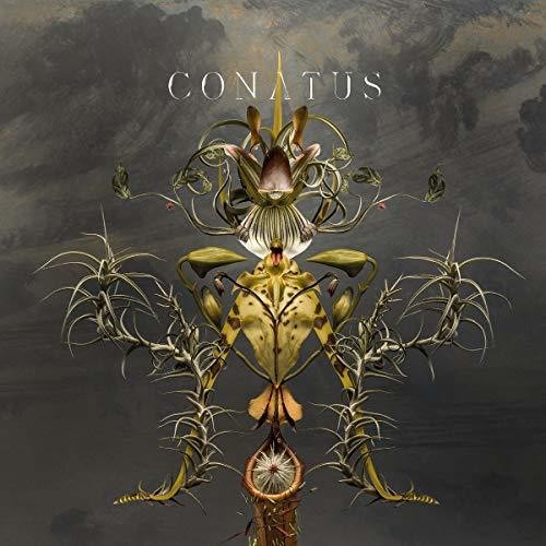 Beving,joep - Conatus - Vinyl Record