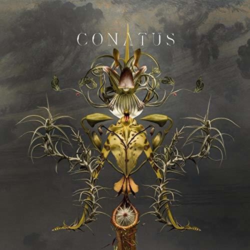 Beving,joep - Conatus - Music CD