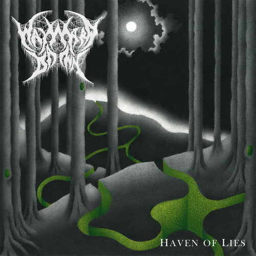 Wayward Dawn - Heaven Of Lies - Music CD