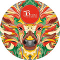 Ranerro,alex - Triangular - Vinyl Record
