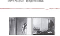 Piccolo,steve - Domestic Exile - Music CD