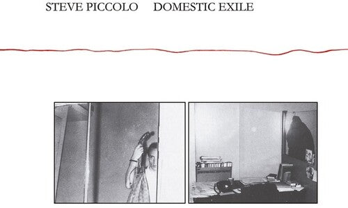 Piccolo,steve - Domestic Exile - Music CD