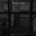 Noise Birds - Dark Sea Hides A Bright Light - Vinyl Record