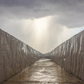 Before The Day Has Gone [LP] Vinyl Record