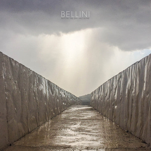 Before The Day Has Gone [LP] Vinyl Record