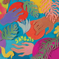 Shy Boys - Bell House - Music CD