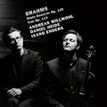 Brahms / Willwohl / Enders - Viola Sonatas 120 - Music CD