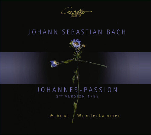 Bach,j.s. / Aelbgut / Wunderkammer - Passion - Music CD
