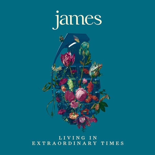 James - Living In Extraordinary Times - Vinyl Record