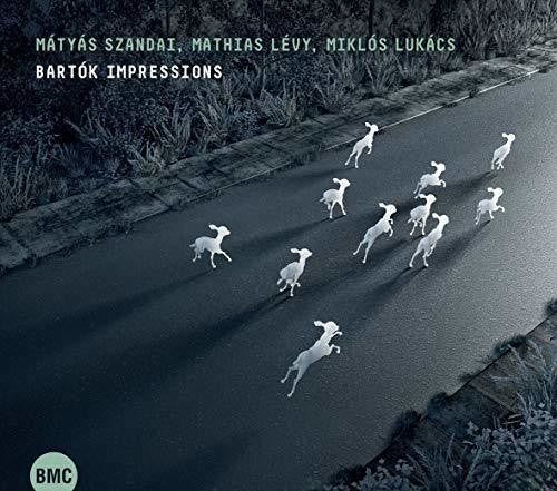 Szandai,matyas / Levy,mathias - Bartok Impressions - Music CD