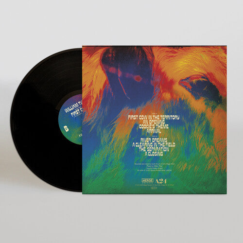 William Tyler - Music From First Cow