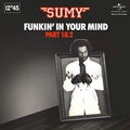 Sumy - Funkin' In Your Mind - Vinyl Record