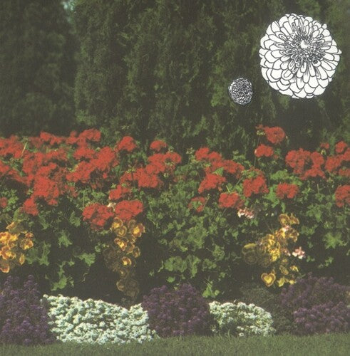 Imaginary Softwoods - Annual Flowers In Color - Vinyl Record