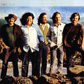 Turtles - Turtle Soup - Vinyl Record