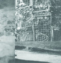 Cremation Lily - Processes & Instruments Of Normal People - Vinyl Record