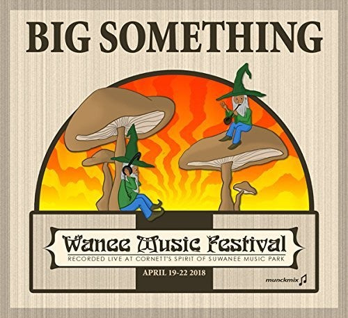 Big Something - Live At Wanee 2018 - Music CD