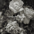 Leimer,k. - Figure Of Loss - Music CD