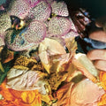 Soela - Genuine Silk - Vinyl Record