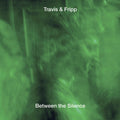 Travis,theo / Fripp,robert - Between The Silence - Music CD