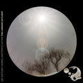 Norris,lee Anthony / Hatami,porya - Longing Daylight - Music CD