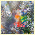 Sixteen Oceans [LP] Vinyl Record