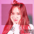 Ddu-Du Ddu-Du (Rose Version) Music CD