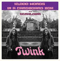 Twink - 10 000 Words In A Cardboard Box - Vinyl Record