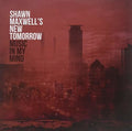 Maxwell,shawn - Music In My Mind - Vinyl Record